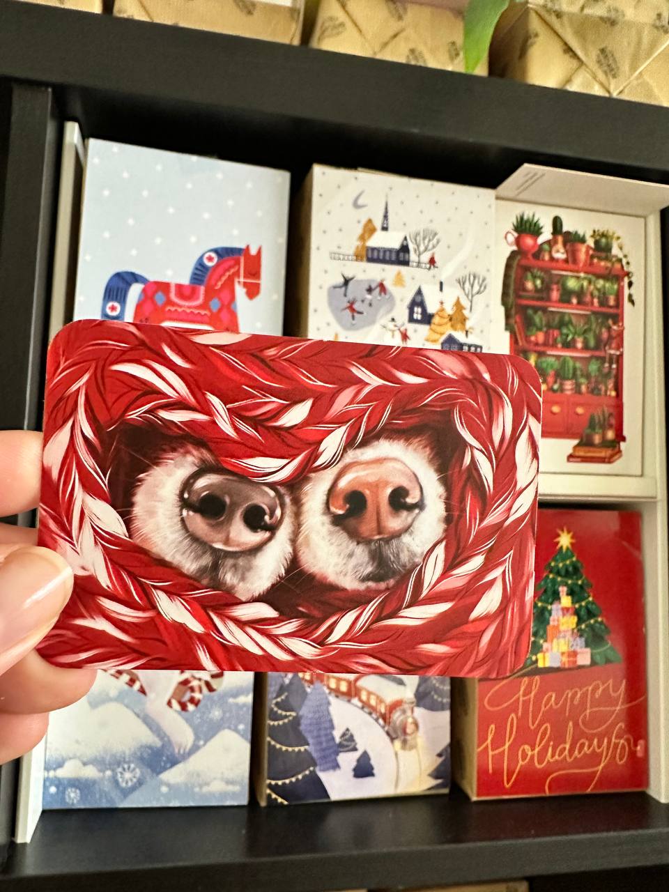 Mini single card 6x9 cm 'Fur Noses'