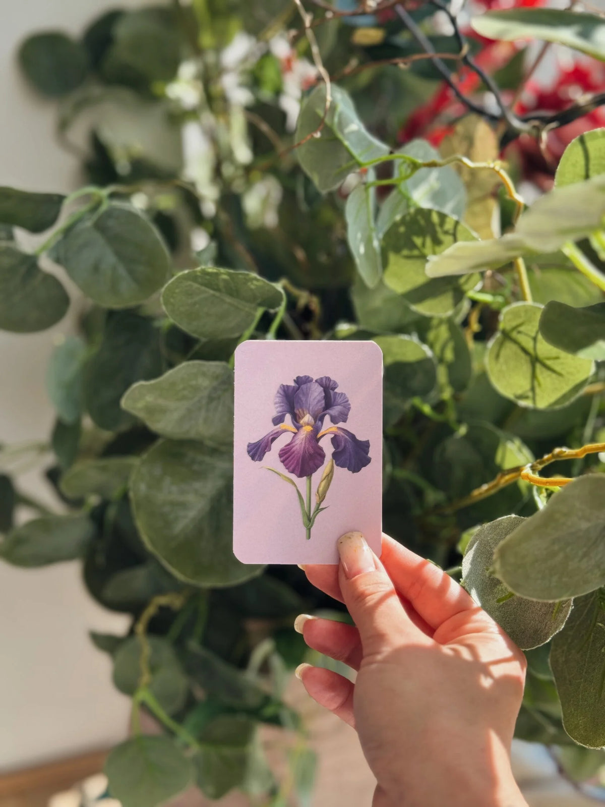 Hand holding a mini lilac greeting card with an embossed purple iris illustration, against green foliage.