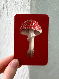 Mini Single Card 6×9 cm ‘Natural Studies: Fly Agaric’ — Embossing