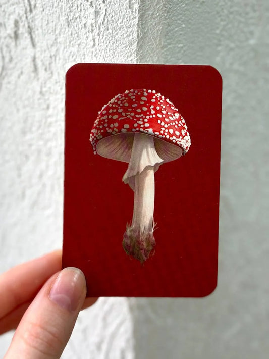 Hand holding a mini red greeting card with an embossed fly agaric mushroom illustration, against a textured wall.