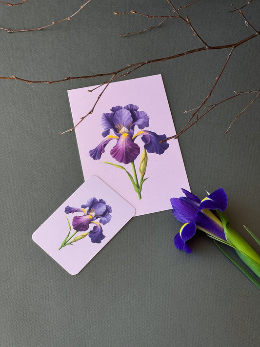 Lilac greeting card and mini card with an embossed purple iris illustration, styled with bare branches and a real iris flower.